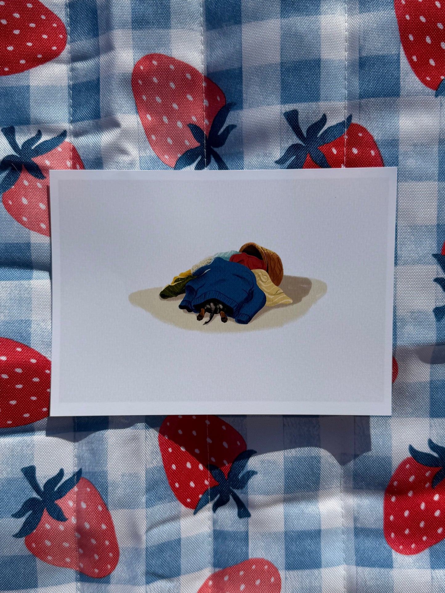 Louie Bean Art Print — Laundry Day Mischief